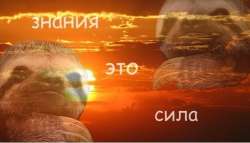 601x344