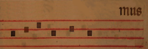 mus