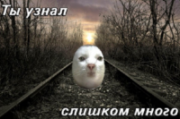 B3aJTBbZ.жипег