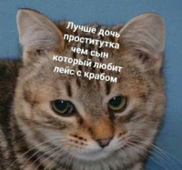 oHWk6cgA.жипег