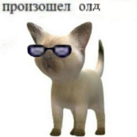 rjCteltw.жипег